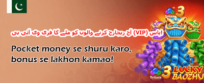وی آئی پی ہفتہ وار کیش بیک promotion